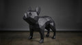 3 Boyutlu Metal French Bulldog Heykeli